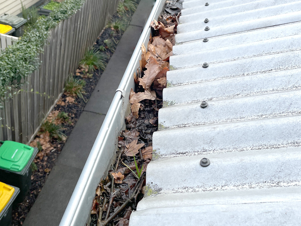 before-gutter-cleaning-service